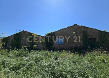 20260409_134150 - Rustico Via di Lattaia, Roccastrada - foto 6