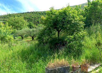 WhatsApp Image 2026-05-18 at 16.11.00 - Villa Via Carpinetana Ovest, Segni - foto 5