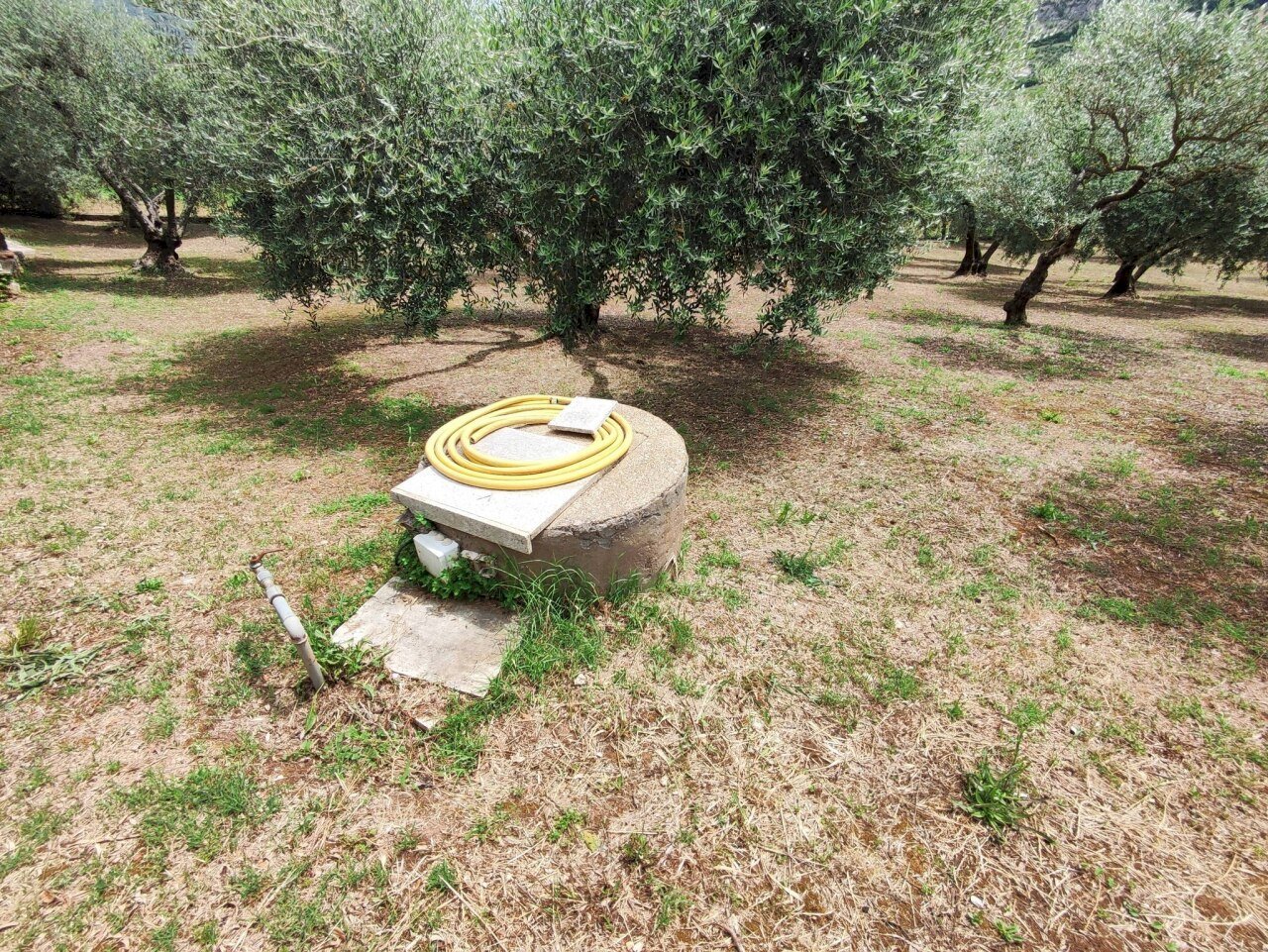 710059427_1569526424953955_7235995774824695596_n - Appartamento Via Dello Scalo Ferroviario 8, Marcellina - foto 2