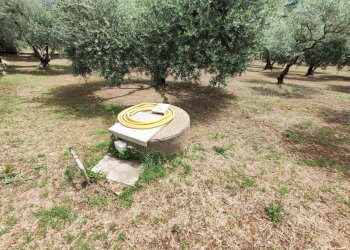 710059427_1569526424953955_7235995774824695596_n - Four-room apartment Via Dello Scalo Ferroviario 8, Marcellina - photo 2