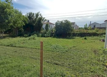 17 - Rustico Polesella - foto 17