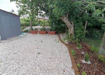 18 - Rustico Polesella - foto 18
