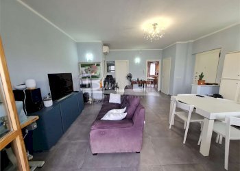 Shed Carpi - photo 21