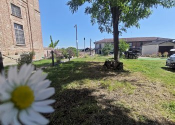 Rustico Carmagnola - foto 2