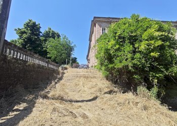 Rustico Carmagnola - foto 14