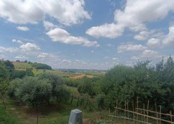 Terreno - Villa via Asti, Calliano - photo 29