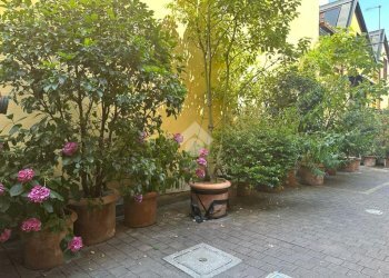 One-room apartment Via marghera, Milano (neighborhood Buonarroti) - photo 8