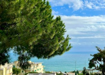 Three-room apartment Sanremo - photo 1