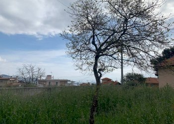 Single Family Villa Strada San Bartolomeo 49, Sanremo - photo 4