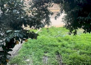 Terratetto - Terracielo Sanremo - foto 5