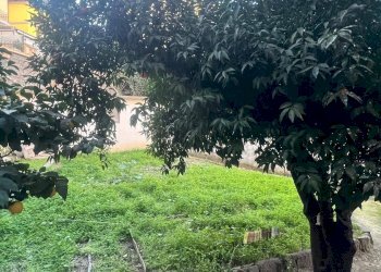 Terratetto - Terracielo Sanremo - foto 6