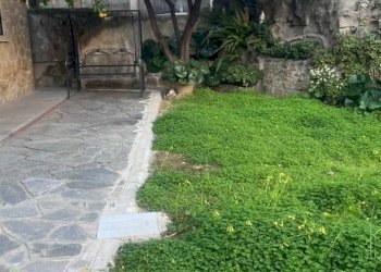 Terratetto - Terracielo Sanremo - foto 8