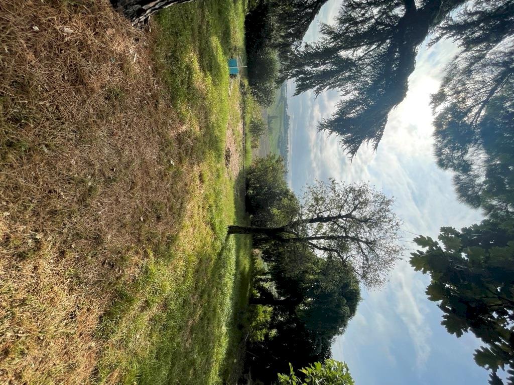 Casale Bertinoro - photo 1