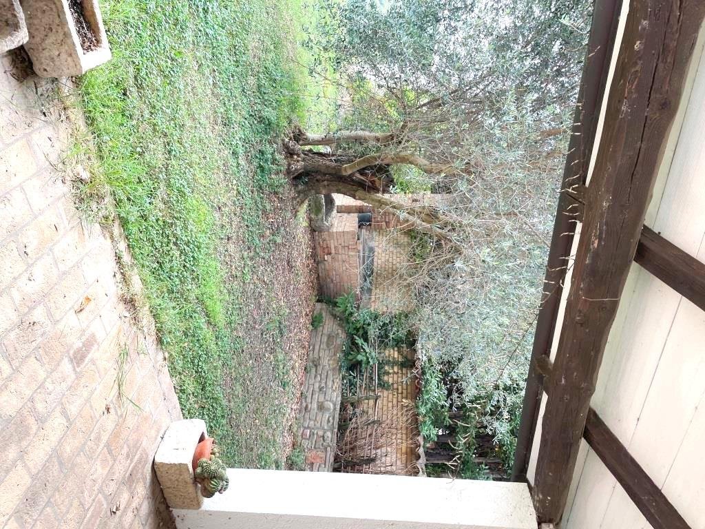 Casale Bertinoro - photo 2