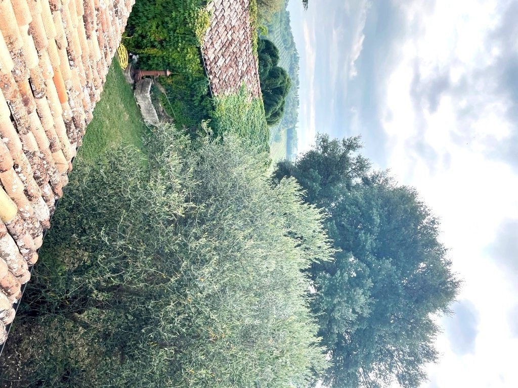 Casale Bertinoro - photo 3