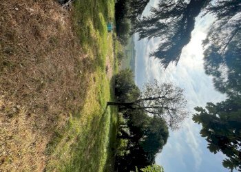 Casale Bertinoro - photo 1