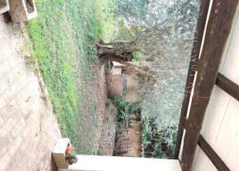 Casale Bertinoro - photo 2
