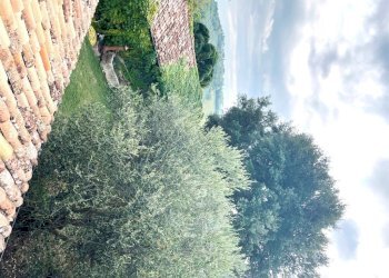 Casale Bertinoro - photo 3