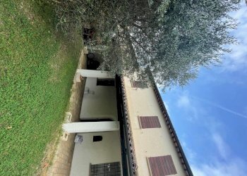 Casale Bertinoro - photo 4