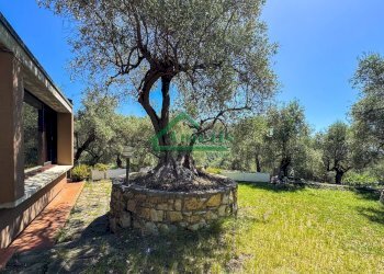 Foto 12 - Villa Costa D'Oneglia, Imperia - photo 12