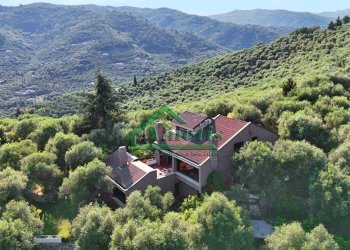 Foto 15 - Villa Costa D'Oneglia, Imperia - photo 15