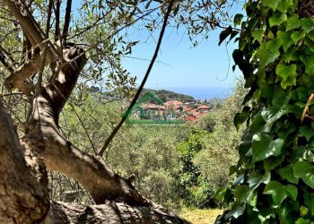 Foto 29 - Villa Costa D'Oneglia, Imperia - photo 29