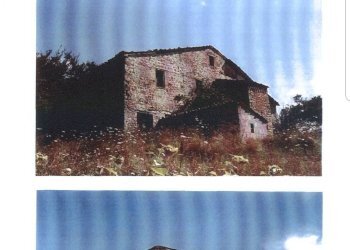 Foto 6 - Terreno agricolo Contrada Fienarette, Penna San Giovanni - foto 6