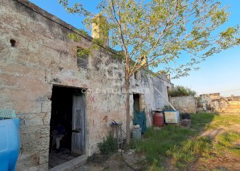 Foto 1 - Rustico Contrada Pigna
 
snc, Brindisi - foto 1