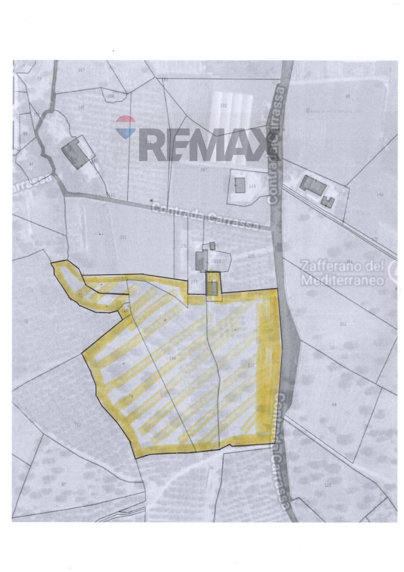 Pianta 2D - Agricultural land Contrada Carrassa, Monopoli - floor plans 1