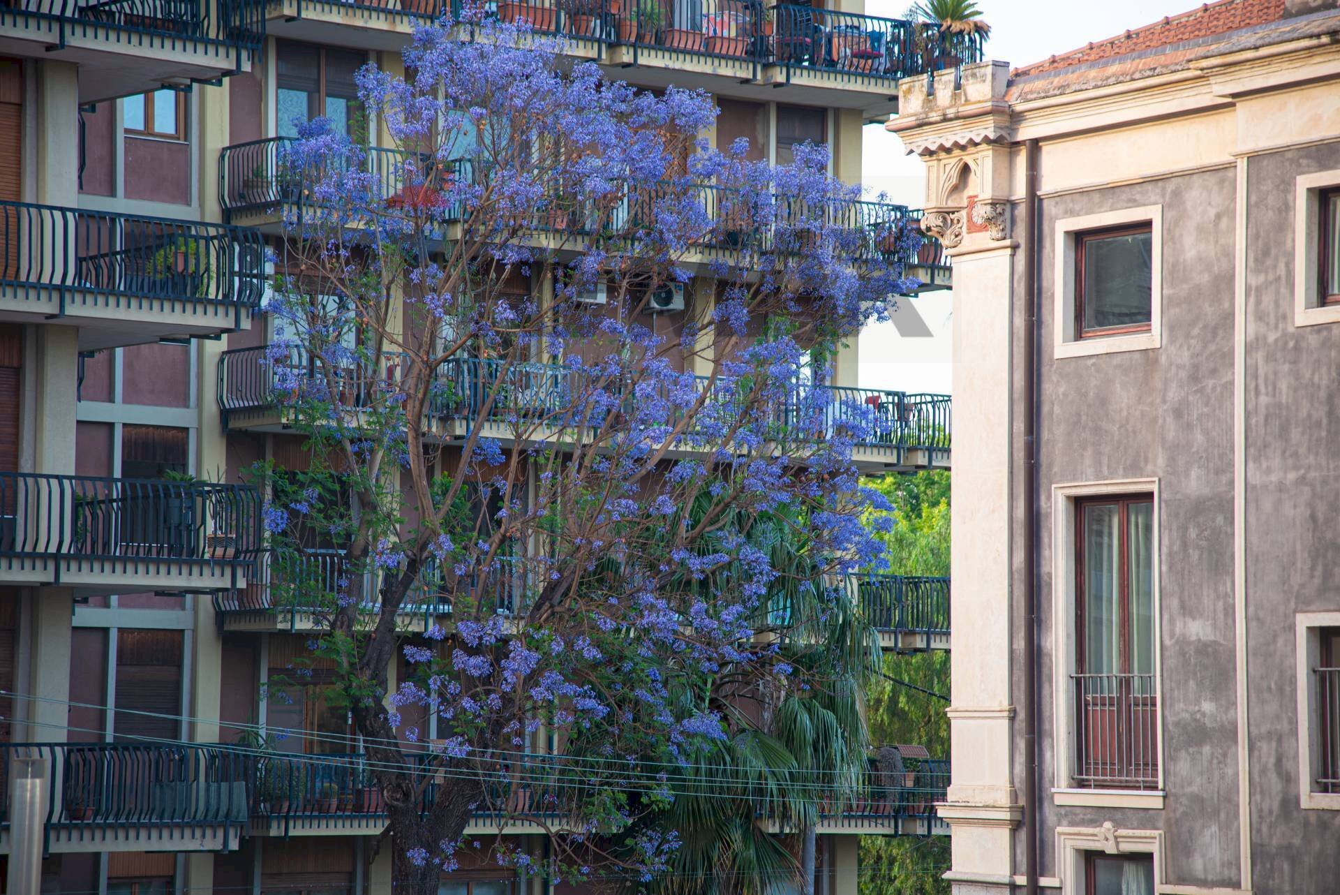 Edificio all\'aperto - Terreno non edificabile via Basile
 
6, Catania - foto 1