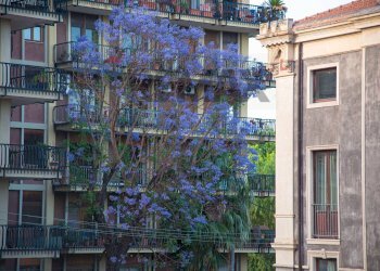 Edificio all\'aperto - Apartment via Basile
 
6, Catania - photo 1