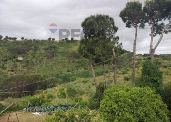 Giardino - Casa semi indipendente Contrada Rasalgone
 
snc, Piazza Armerina - foto 46