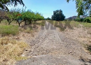 Non correlato - Terreno agricolo SP81 Contrada Marzacchina
84, Calatabiano - foto 8