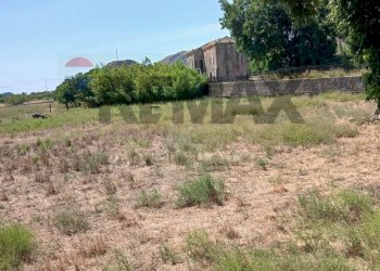 Giardino - Terreno agricolo SP81 Contrada Marzacchina
84, Calatabiano - foto 12