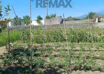 Giardino - Terreno agricolo Via San Marco
8, Calatabiano - foto 4