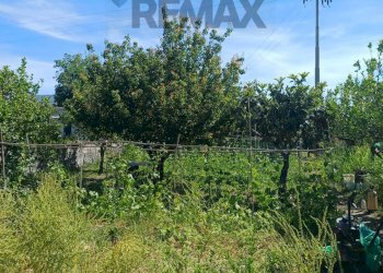 Giardino - Terreno agricolo Via San Marco
8, Calatabiano - foto 7