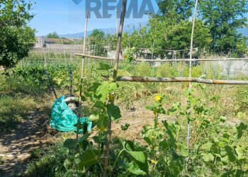 Giardino - Terreno agricolo Via San Marco
8, Calatabiano - foto 8
