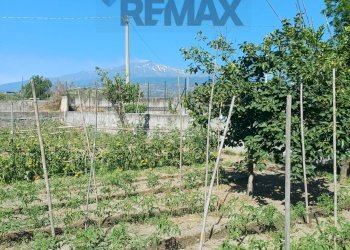Giardino - Terreno agricolo Via San Marco
8, Calatabiano - foto 12