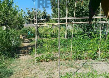 Giardino - Terreno agricolo Via San Marco
8, Calatabiano - foto 17