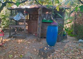 Casa all\'aperto - Appartamento Cavriglia - foto 13