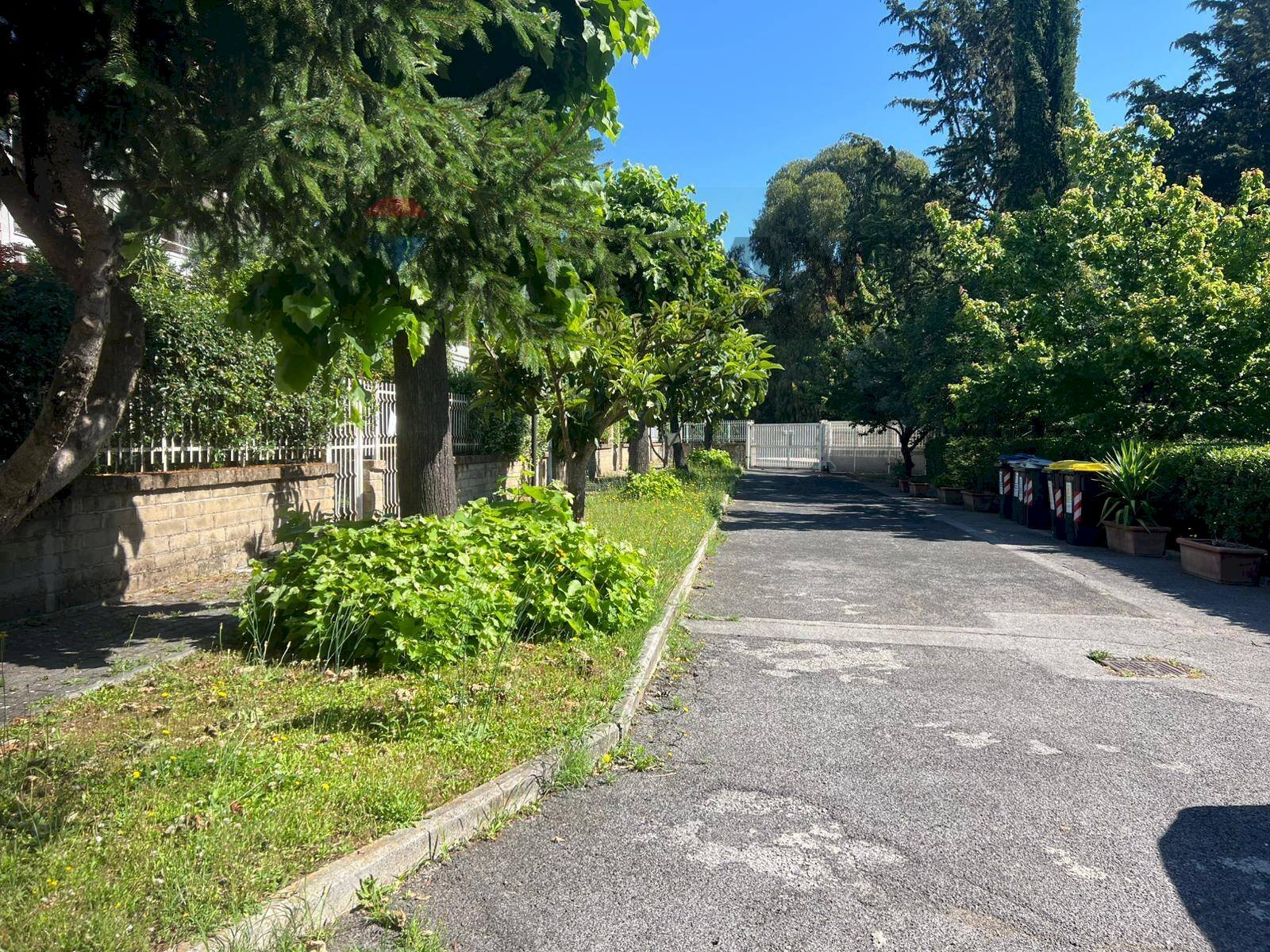 Giardino - Box Via San Giovanni In Argentella
 
67, Roma - photo 1