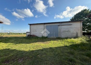 Agricultural land Via Marana, Budrio - photo 1