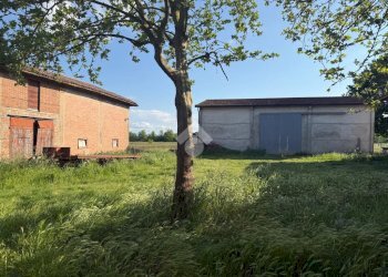 Agricultural land Via Marana, Budrio - photo 2