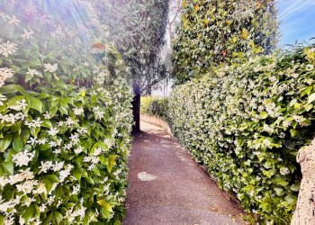 Giardino - Attic Corso Europa, Villaricca - photo 6