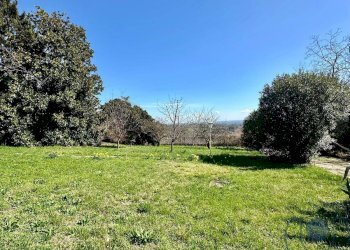 Foto 16 - Villa Strada Cenasco, Moncalieri - photo 16