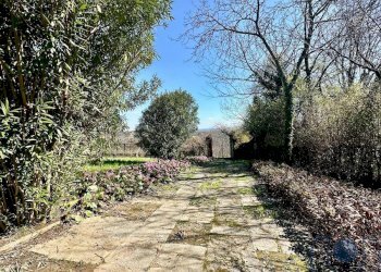 Foto 18 - Villa Strada Cenasco, Moncalieri - photo 18