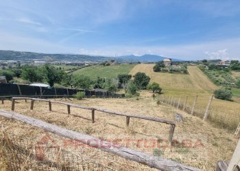 Foto 1 - Terreno agricolo Monteprandone - foto 1