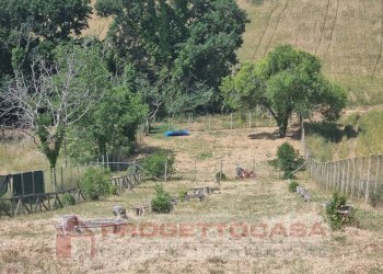 Foto 4 - Terreno agricolo Monteprandone - foto 4