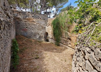 Giardino - Casa indipendente via Luigi Capuana, Favignana - foto 15