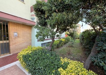 Giardino - Four-room apartment Via Giotto
 
14, Aprilia - photo 3